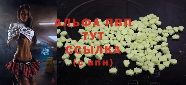 гашик Абаза