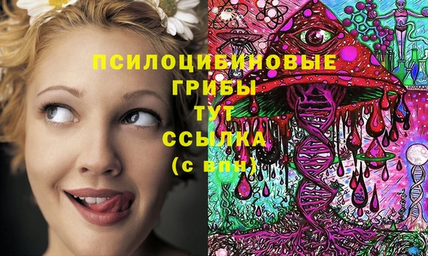 амф Алзамай