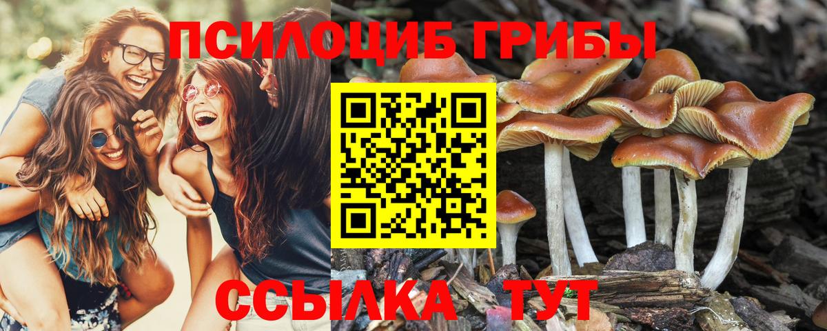 Галлюциногенные грибы мухоморы Соликамск